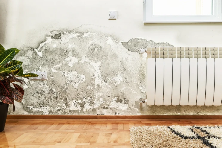 Roland Black Heating, Cooling, Plumbing & Generators - slab leak 1
